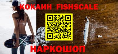 крисы Можга