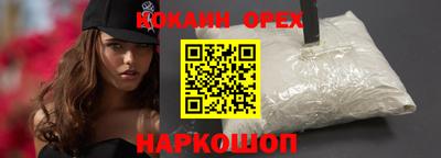 крисы Можга