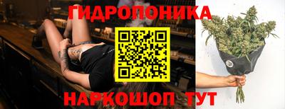 спиды Можайск