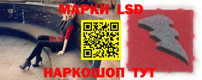 крисы Можга