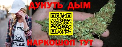 крисы Можга