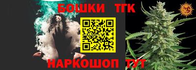 крисы Можга