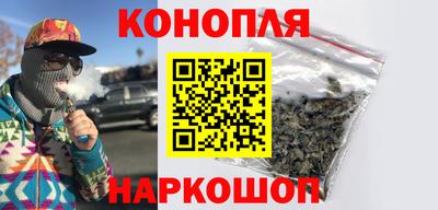 крисы Можга