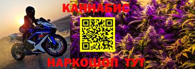крисы Можга