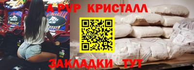 крисы Можга
