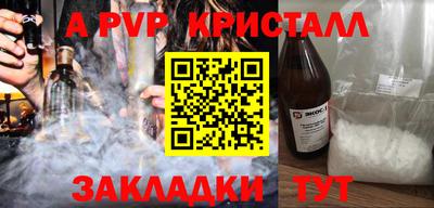 крисы Можга