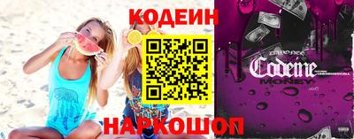 крисы Можга