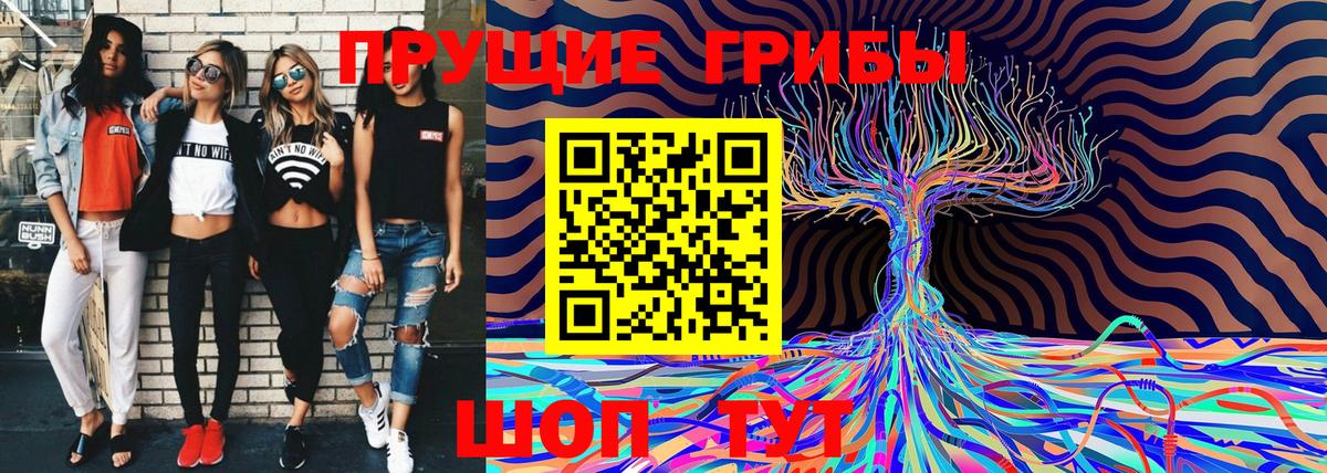 Химки  Галлюциногенные грибы Psilocybe  Вход с VPN  Галлюциногенные грибы Cubensis 